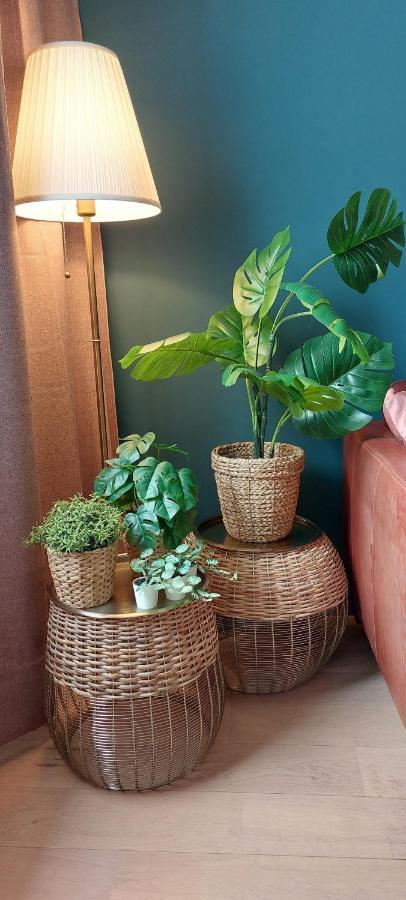 Bnb Antwerp - Boutique Extérieur photo